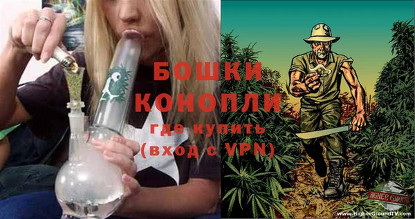 ПСИЛОЦИБИНОВЫЕ ГРИБЫ Балабаново