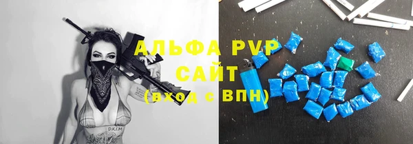 индика Балахна