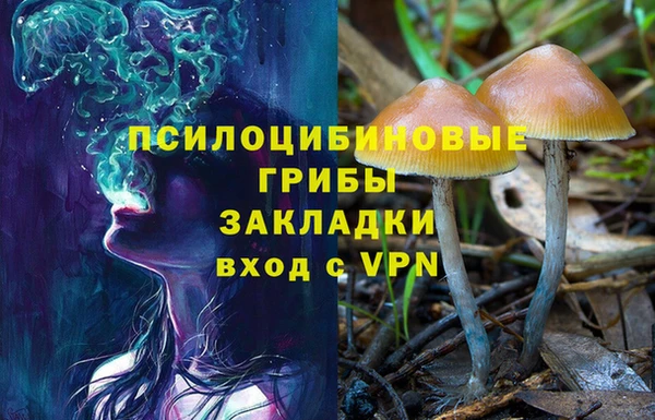 прущий лед Арсеньев
