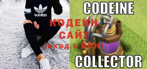 индика Балахна