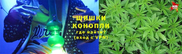 индика Балахна