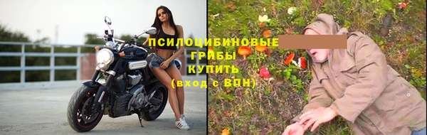 гидра Баксан